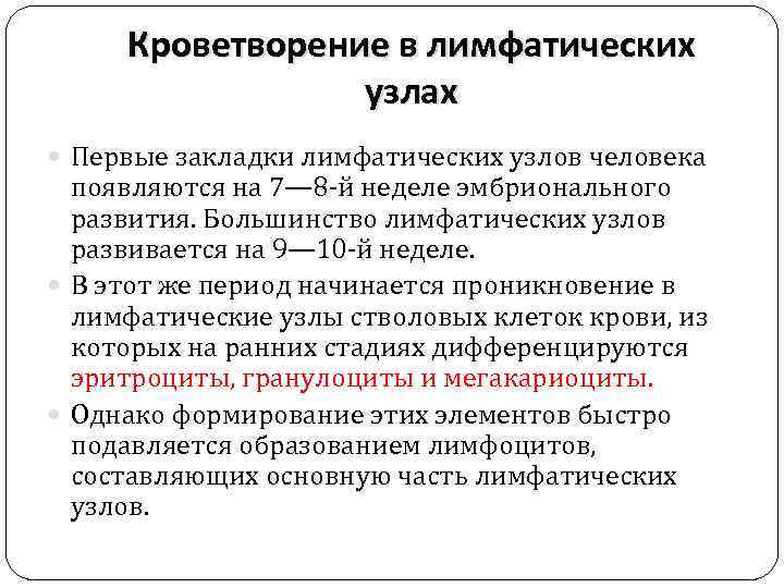 Кроветворение в лимфатических узлах Первые закладки лимфатических узлов человека появляются на 7— 8 -й