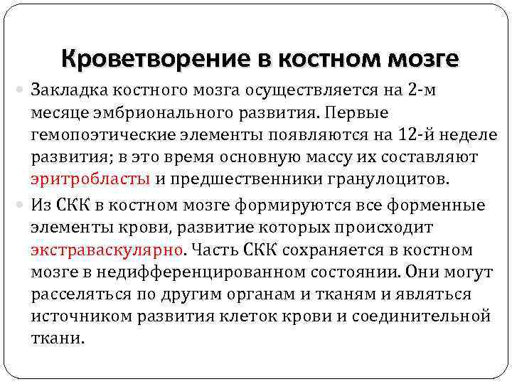 Кроветворение в костном мозге Закладка костного мозга осуществляется на 2 -м месяце эмбрионального развития.