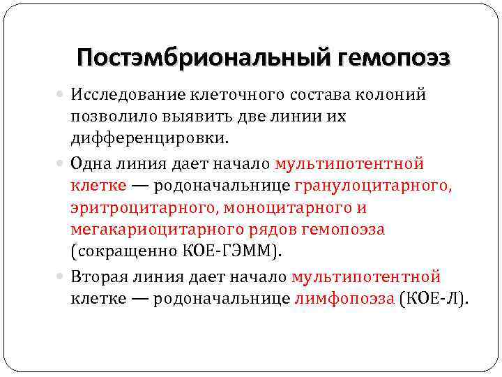 Постэмбриональный гемопоэз Исследование клеточного состава колоний позволило выявить две линии их дифференцировки. Одна линия