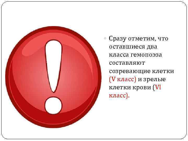  Сразу отметим, что оставшиеся два класса гемопоэза составляют созревающие клетки (V класс) и