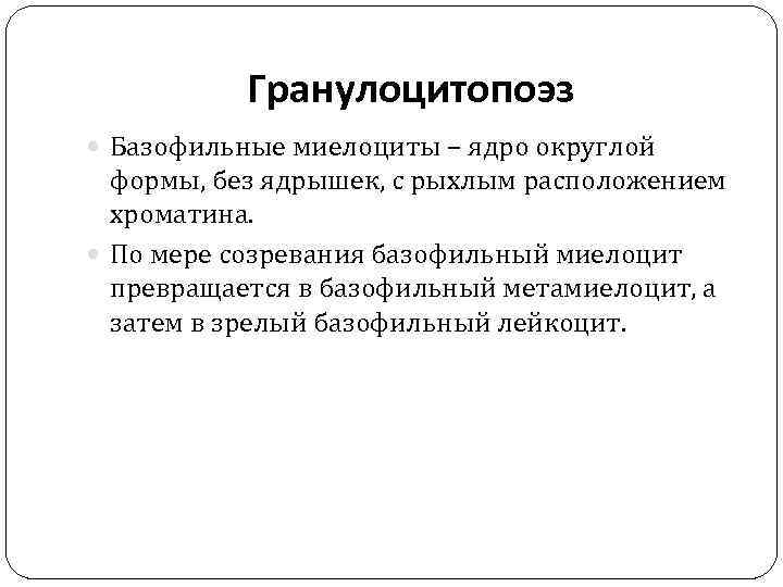 Гранулоцитопоэз Базофильные миелоциты – ядро округлой формы, без ядрышек, с рыхлым расположением хроматина. По