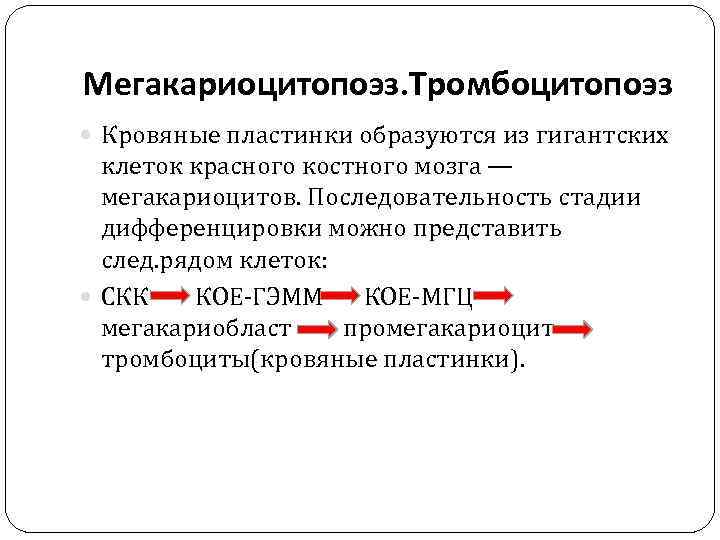 Мегакариоцитопоэз. Тромбоцитопоэз Кровяные пластинки образуются из гигантских клеток красного костного мозга — мегакариоцитов. Последовательность