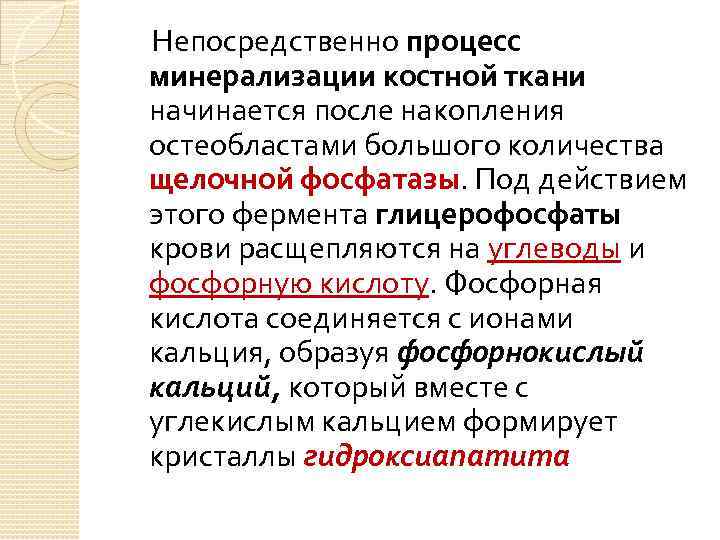 Непосредственно процесс минерализации костной ткани начинается после накопления остеобластами большого количества щелочной фосфатазы. Под