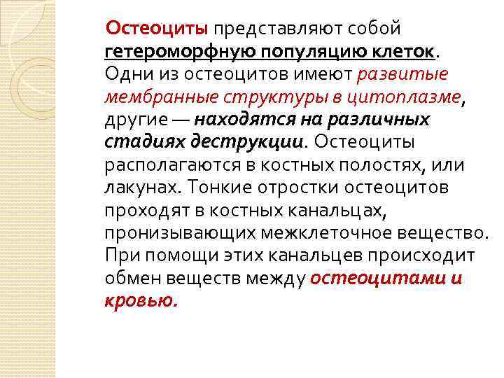 Остеоциты функции. Остеоцит характерные органеллы. Гистогенез костной ткани. Остеоциты локализация.