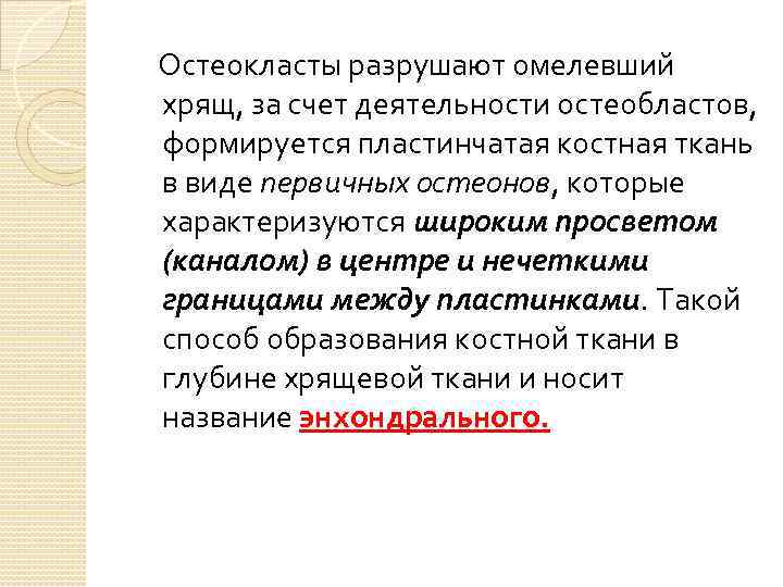 Остеокласты разрушают омелевший хрящ, за счет деятельности остеобластов, формируется пластинчатая костная ткань в виде