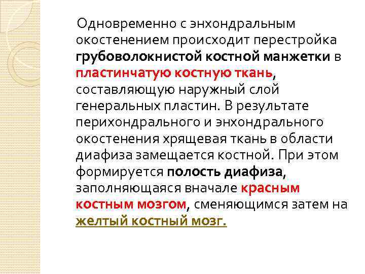 Одновременно с энхондральным окостенением происходит перестройка грубоволокнистой костной манжетки в пластинчатую костную ткань, составляющую