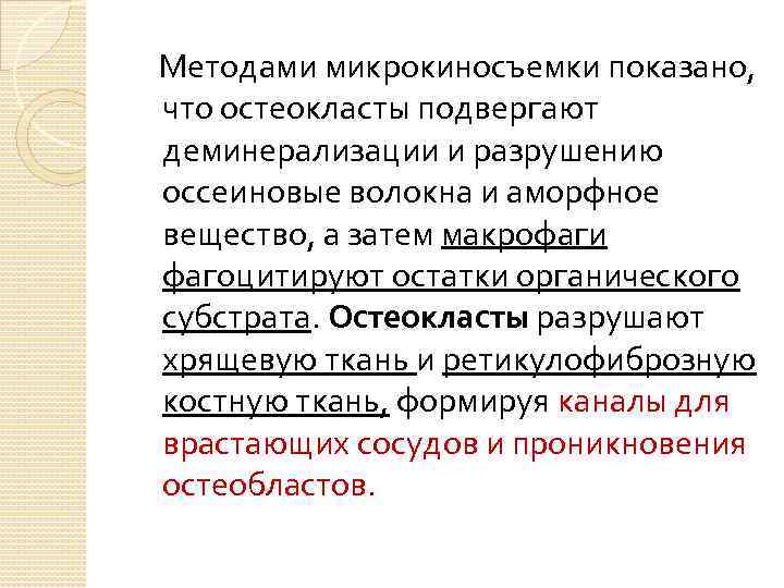 Методами микрокиносъемки показано, что остеокласты подвергают деминерализации и разрушению оссеиновые волокна и аморфное вещество,