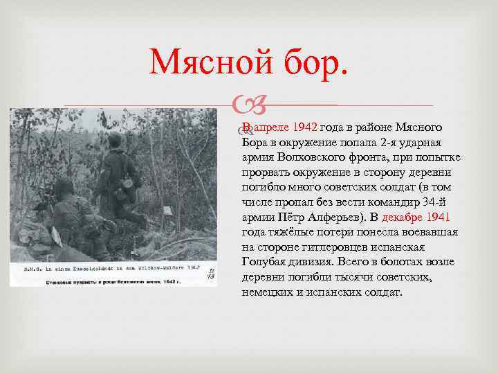 Мясной бор. В апреле 1942 года в районе Мясного Бора в окружение попала 2