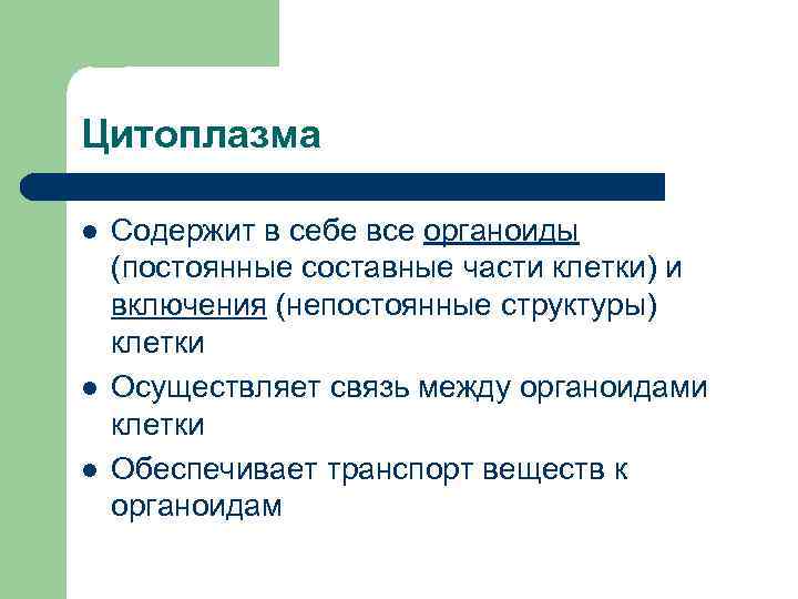 Цитоплазма l l l Содержит в себе все органоиды (постоянные составные части клетки) и