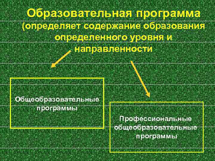 Образовательная программа (определяет содержание образования определенного уровня и направленности Общеобразовательные программы Профессиональные общеобразовательные программы