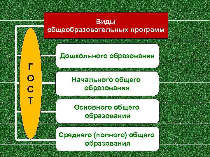 Виды общеобразовательных программ Дошкольного образования Г О С Т Начального общего образования Основного общего