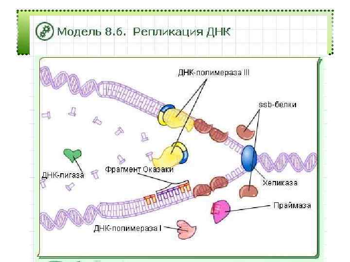 Редупликация 