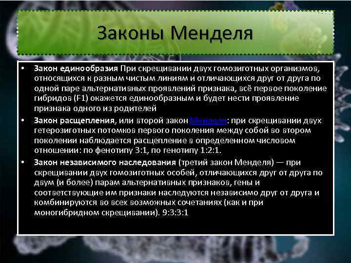 Законы Менделя • • • Закон единообразия При скрещивании двух гомозиготных организмов, относящихся к