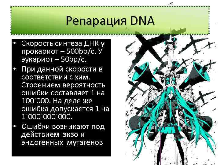 Репарация DNA • Скорость синтеза ДНК у прокариот – 500 bp/c. У эукариот –