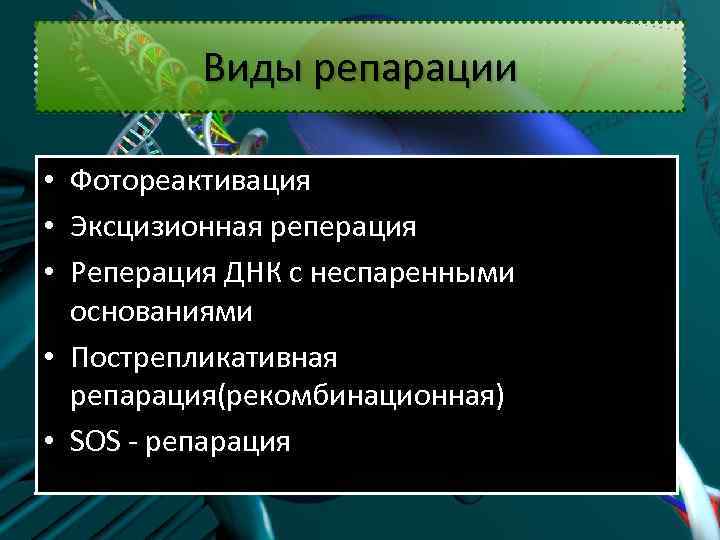 Виды репарации • Фотореактивация • Эксцизионная реперация • Реперация ДНК с неспаренными основаниями •