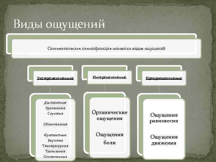 Виды ощущений Систематическая классификация основных видов ощущений Экстероцептивныке Дистантные Зрительные Слуховые Интероцептивные Органические ощущения