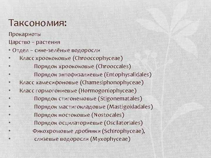 Таксономия: Прокариоты Царство – растения • Отдел – сине-зелёные водоросли • Класс хроококовые (Chrooccophyceae)