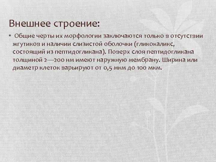 Внешнее строение: • Общие черты их морфологии заключаются только в отсутствии жгутиков и наличии