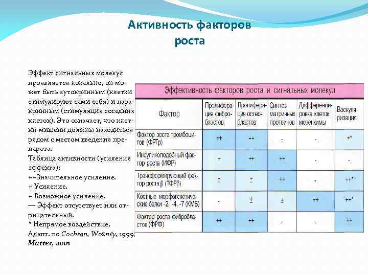 Активность факторов роста Эффект сигнальных молекул проявляется локально, он может быть аутокринным (клетки стимулируют