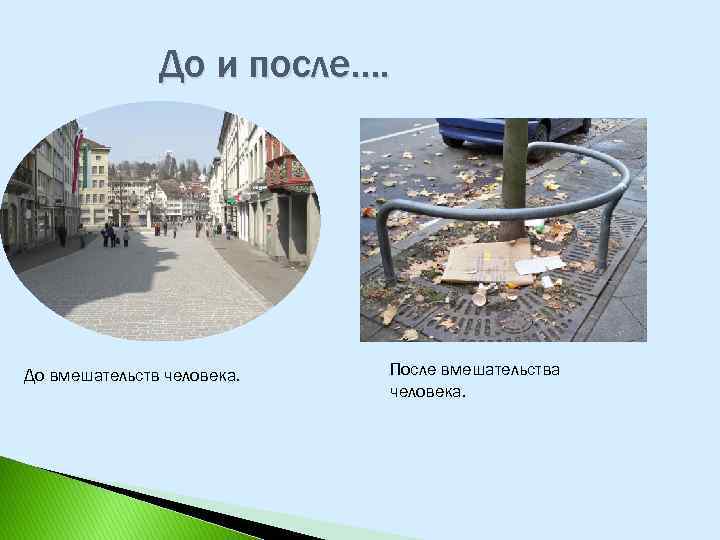 До и после…. До вмешательств человека. После вмешательства человека. 