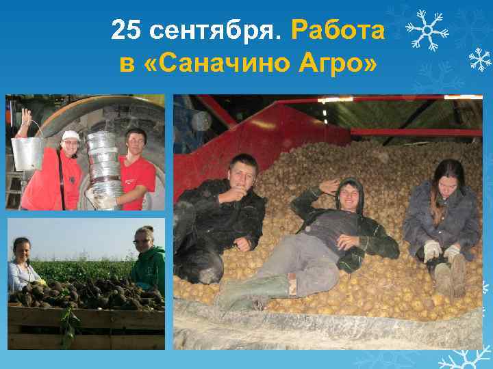 25 сентября. Работа в «Саначино Агро» 