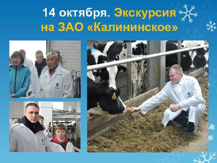 14 октября. Экскурсия на ЗАО «Калининское» 