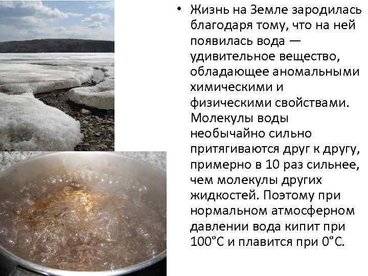  • Жизнь на Земле зародилась благодаря тому, что на ней появилась вода —