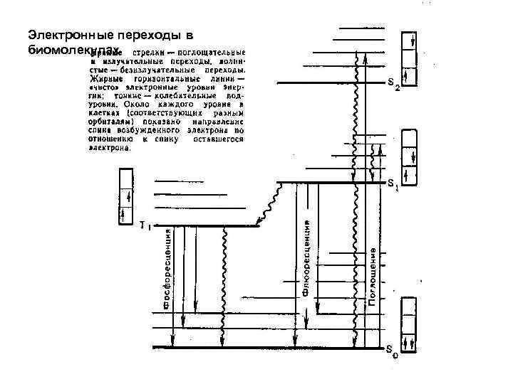 Электронные переходы