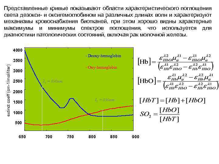 Представленные кривые показывают области характеристического поглощения света дезокси- и оксигемоглобином на различных длинах волн