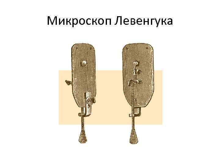 Микроскоп Левенгука 
