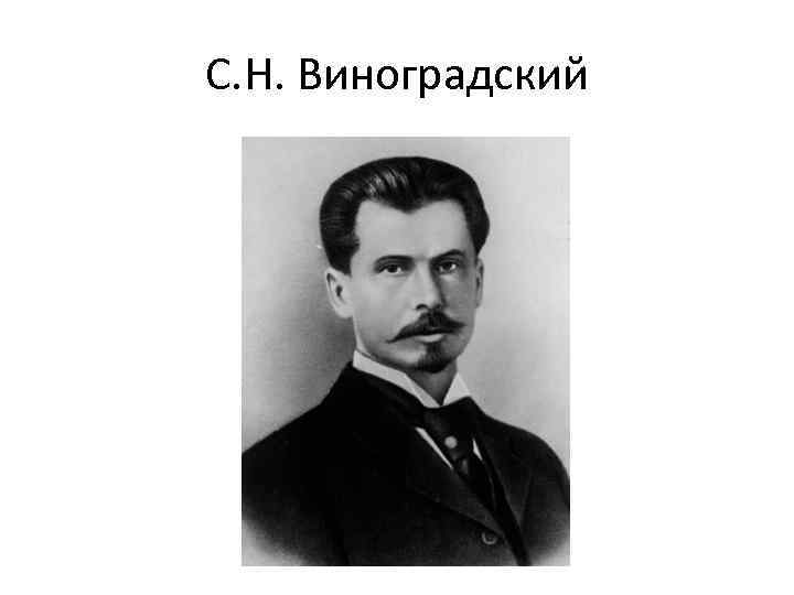С. Н. Виноградский 