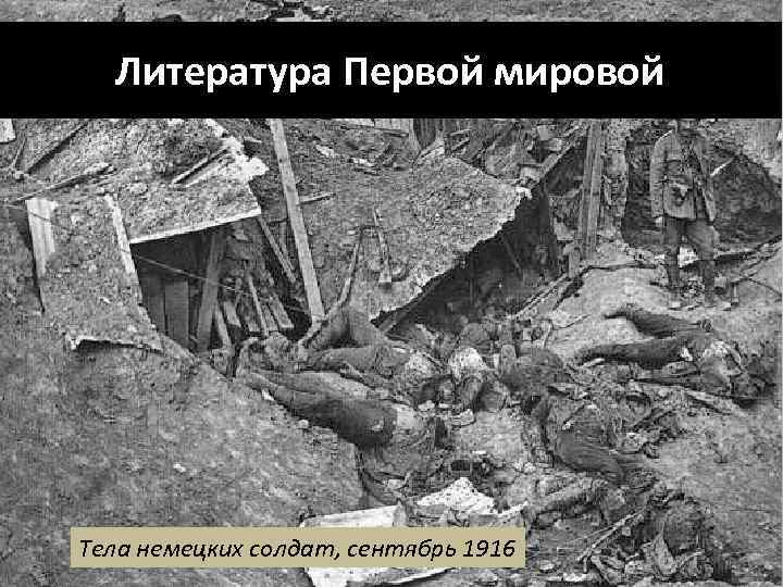 Литература Первой мировой Тела немецких солдат, сентябрь 1916 