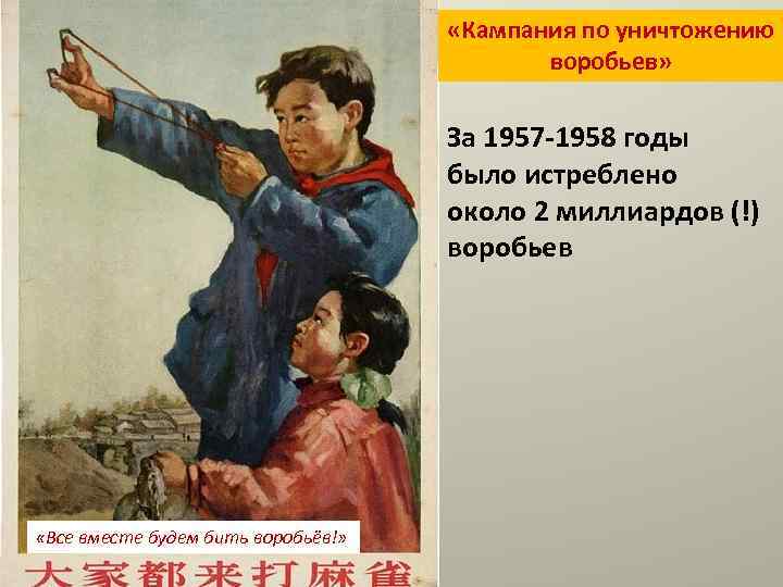  «Кампания по уничтожению воробьев» За 1957 -1958 годы было истреблено около 2 миллиардов