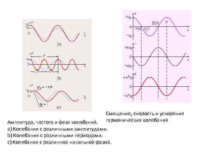 Смещение равно амплитуде. Что такое фазы периода амплитуды колебаний. Графики колебаний различной амплитуды и частоты. Амплитуда частота и фаза колебаний. Амплитуда фаза начальная фаза колебаний.