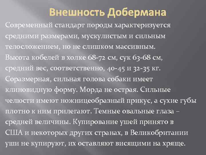 Внешность Добермана Современный стандарт породы характеризуется средними размерами, мускулистым и сильным телосложением, но не