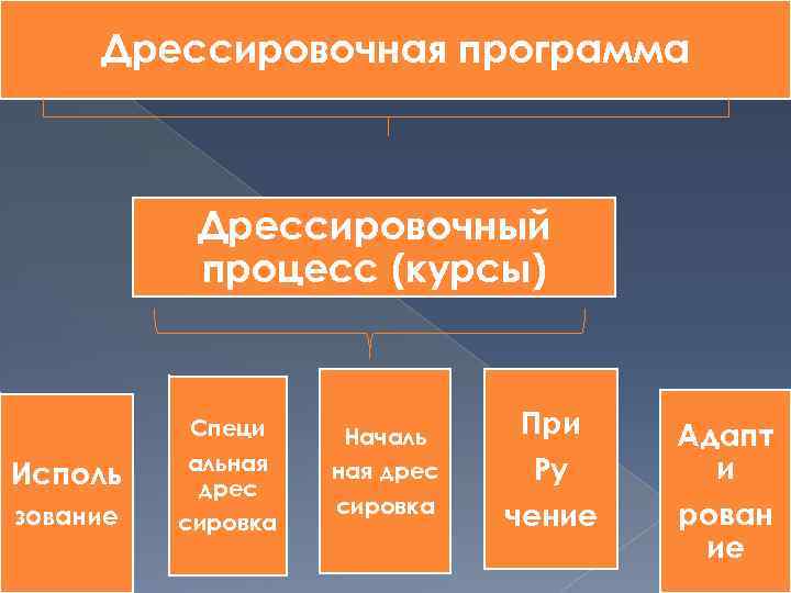 Дрессировочная программа Дрессировочный процесс (курсы) Исполь зование Специ альная дрес сировка Началь ная дрес