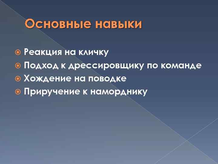 Основные навыки Реакция на кличку Подход к дрессировщику по команде Хождение на поводке Приручение