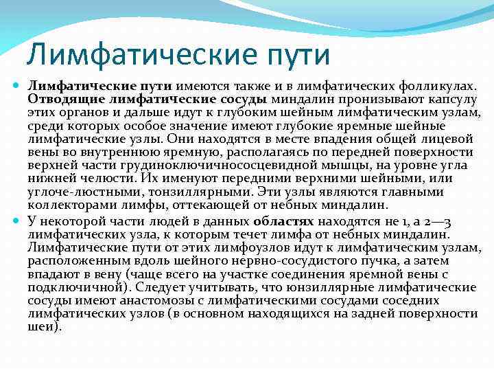 Лимфатические пути имеются также и в лимфатических фолликулах. Отводящие лимфатические сосуды миндалин пронизывают капсулу