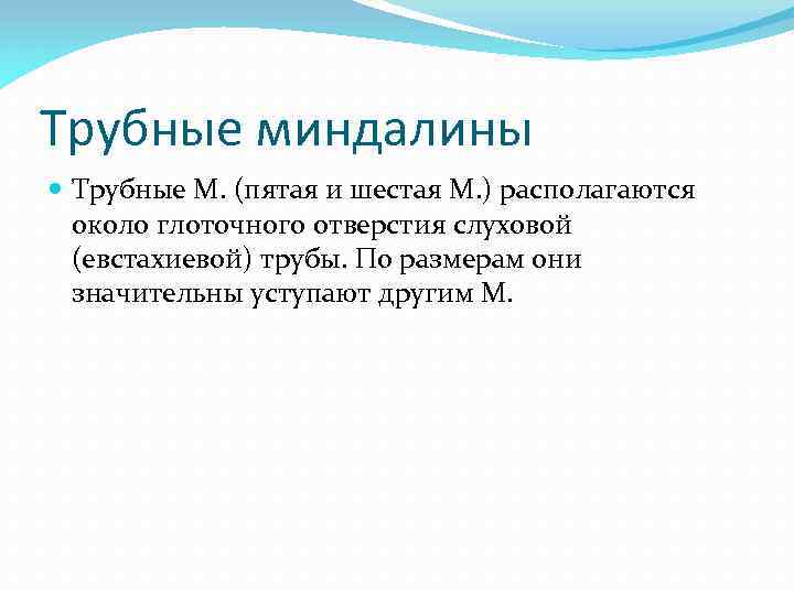 Трубные миндалины Трубные М. (пятая и шестая М. ) располагаются около глоточного отверстия слуховой