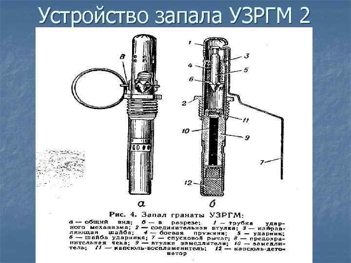 Запал гранаты. Устройство взрывателя гранаты ф1. Запал гранаты УЗРГМ, УЗРГМ-2. Запал гранаты ф1 устройство. Взрыватель гранаты УЗРГМ 2.