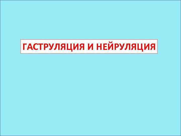 ГАСТРУЛЯЦИЯ И НЕЙРУЛЯЦИЯ 