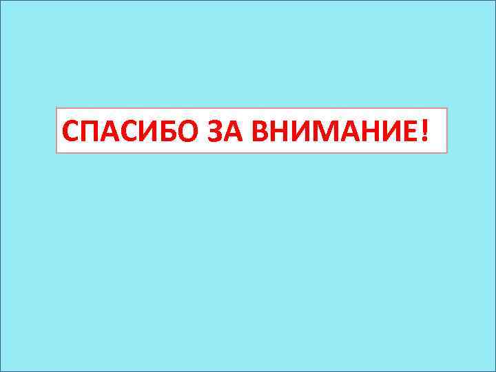 СПАСИБО ЗА ВНИМАНИЕ! 