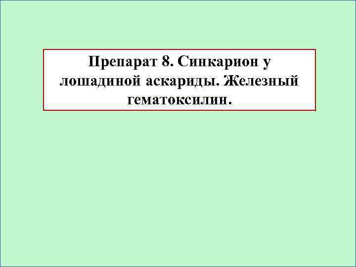 Препарат 8. Синкарион у лошадиной аскариды. Железный гематоксилин. 