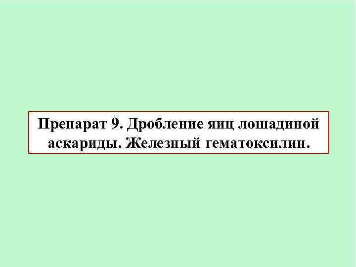 Препарат 9. Дробление яиц лошадиной аскариды. Железный гематоксилин. 