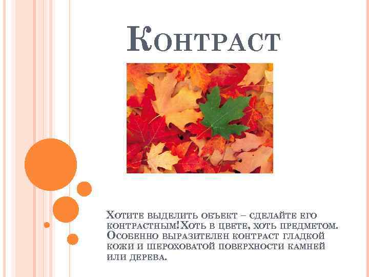 КОНТРАСТ ХОТИТЕ ВЫДЕЛИТЬ ОБЪЕКТ – СДЕЛАЙТЕ ЕГО КОНТРАСТНЫМ! ХОТЬ В ЦВЕТЕ, ХОТЬ ПРЕДМЕТОМ. ОСОБЕННО