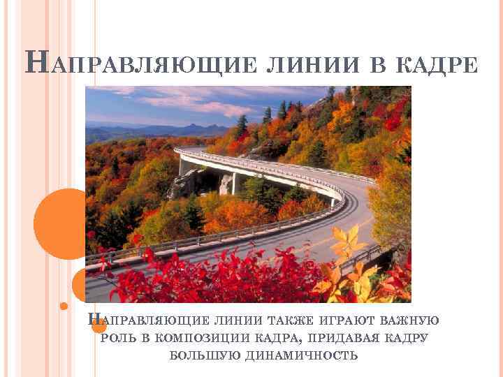 НАПРАВЛЯЮЩИЕ ЛИНИИ В КАДРЕ НАПРАВЛЯЮЩИЕ ЛИНИИ ТАКЖЕ ИГРАЮТ ВАЖНУЮ РОЛЬ В КОМПОЗИЦИИ КАДРА, ПРИДАВАЯ