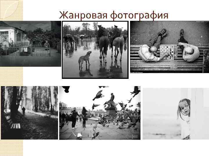 Жанровая фотография 