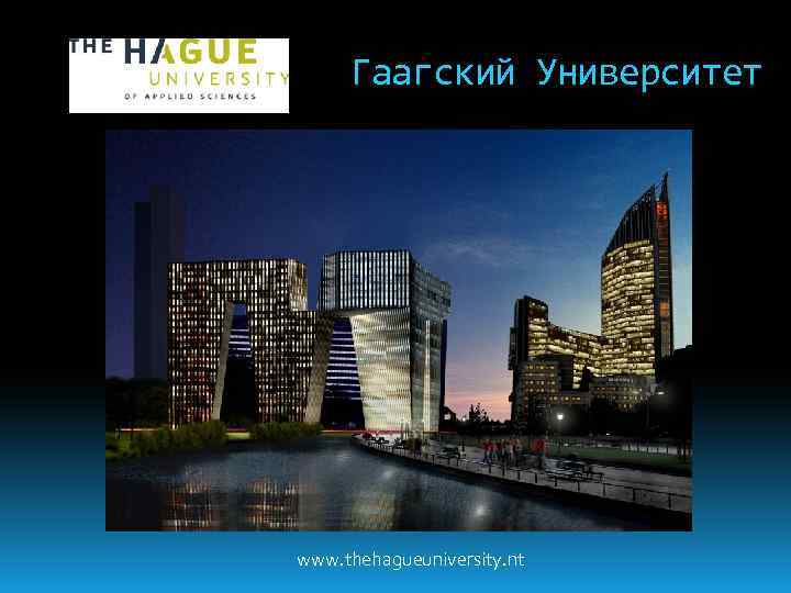 Гаагский Университет www. thehagueuniversity. nt 