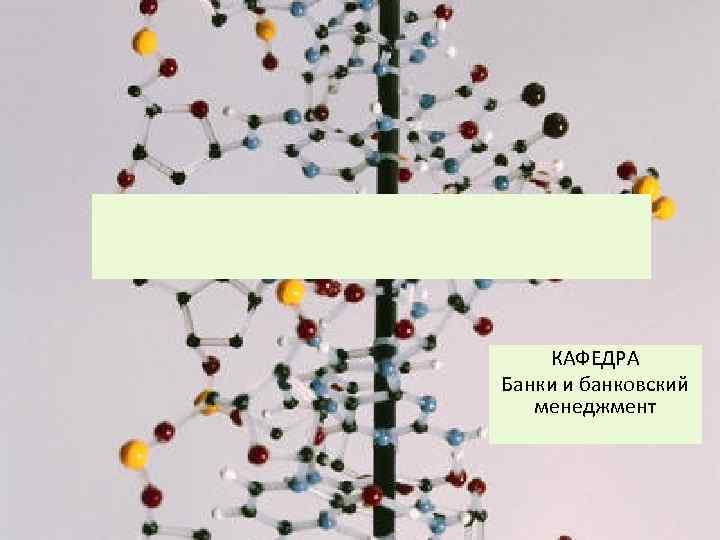 КАФЕДРА Банки и банковский менеджмент 