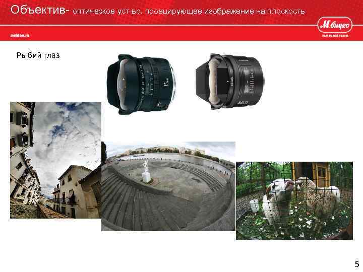 Объектив- оптическое уст-во, проецирующее изображение на плоскость Рыбий глаз 5 
